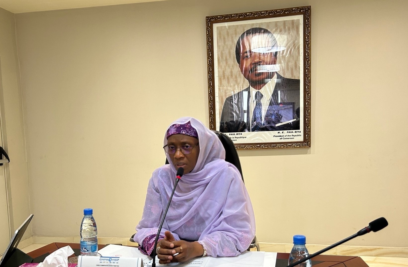 Mohamadou, née Billite Haman Djoda: When Discretion and Efficiency go Hand in Hand